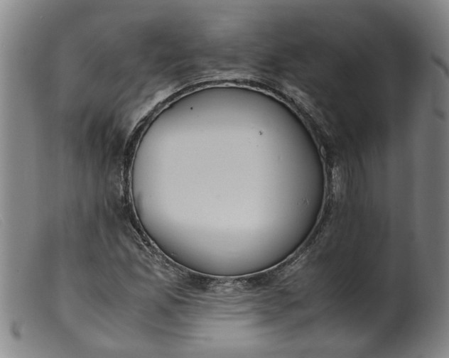 X0000099401165200805221849