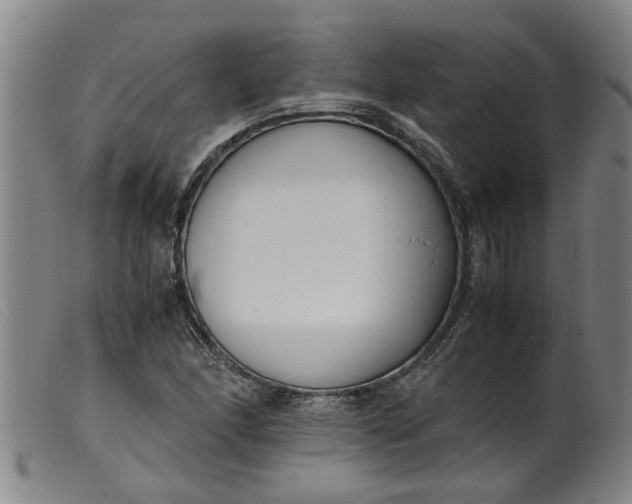 X0000099401166200805221849