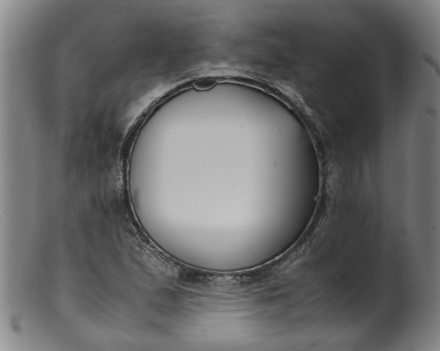 X0000099401167200805221848