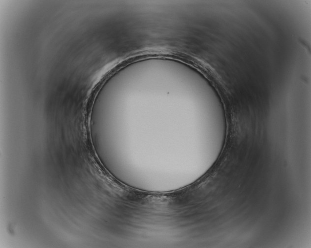 X0000099401168200805221848