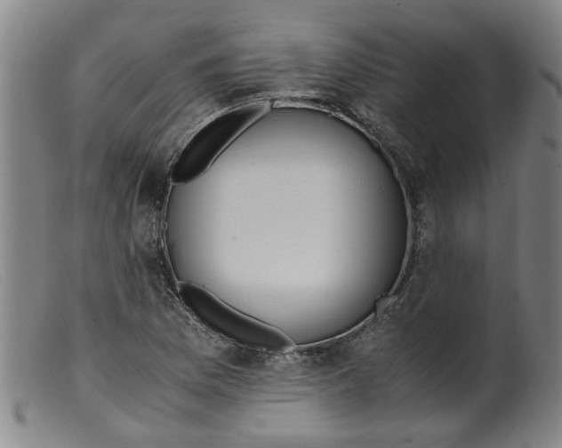 X0000099401169200805221848