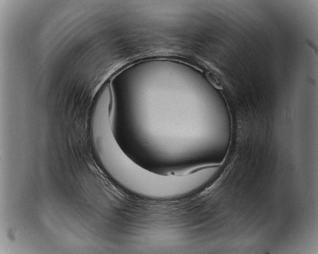 X0000099401170200805221848