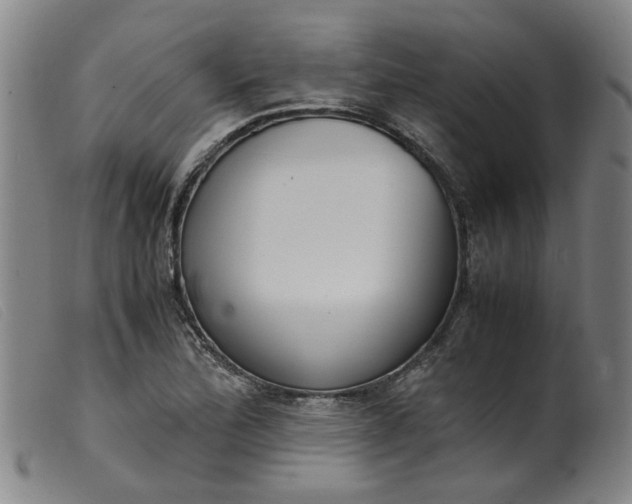 X0000099401172200805221848