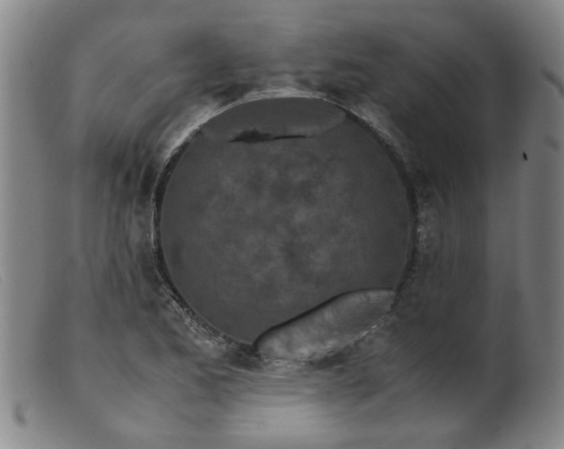 X0000099401173200805221848