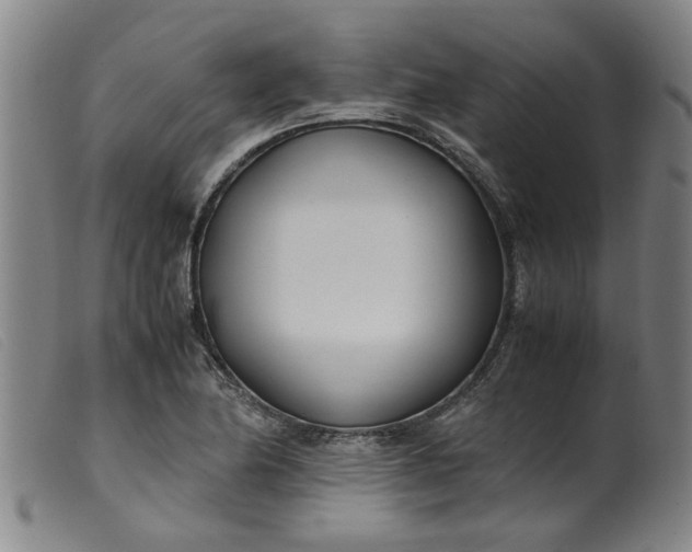 X0000099401174200805221848