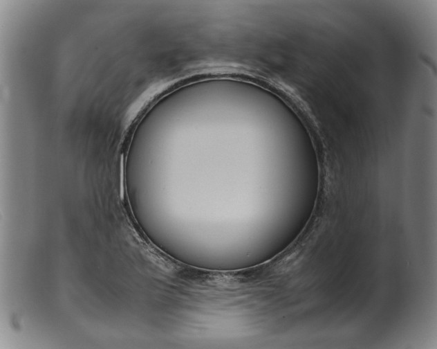 X0000099401175200805221848