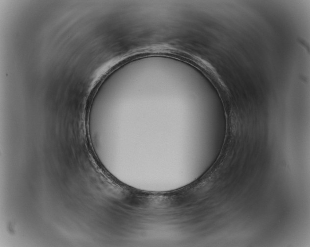 X0000099401176200805221848