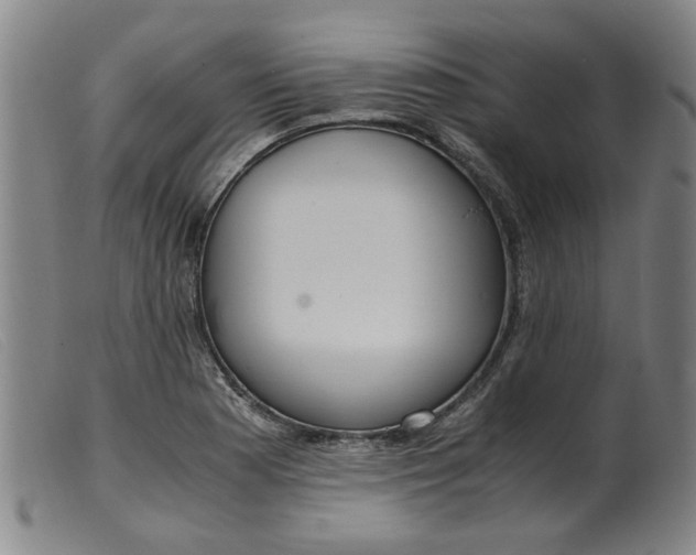 X0000099401177200805221848