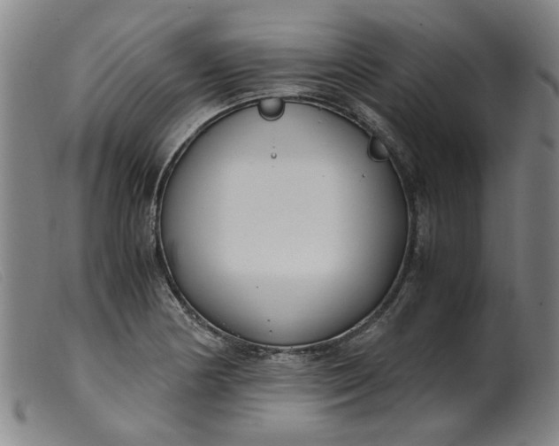 X0000099401178200805221848