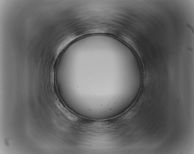 X0000099401179200805221848