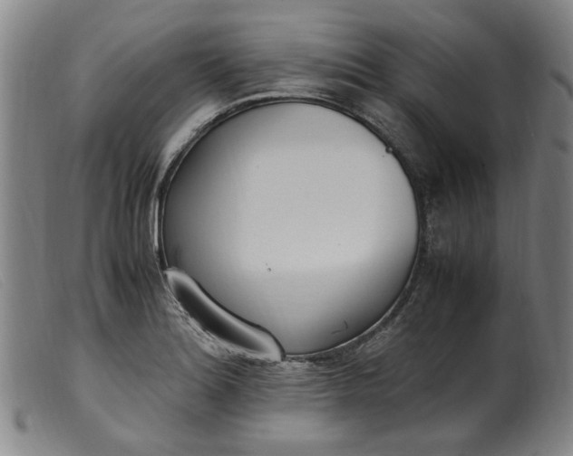 X0000099401180200805221848