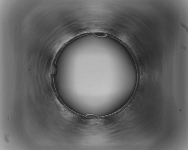 X0000099401181200805221848