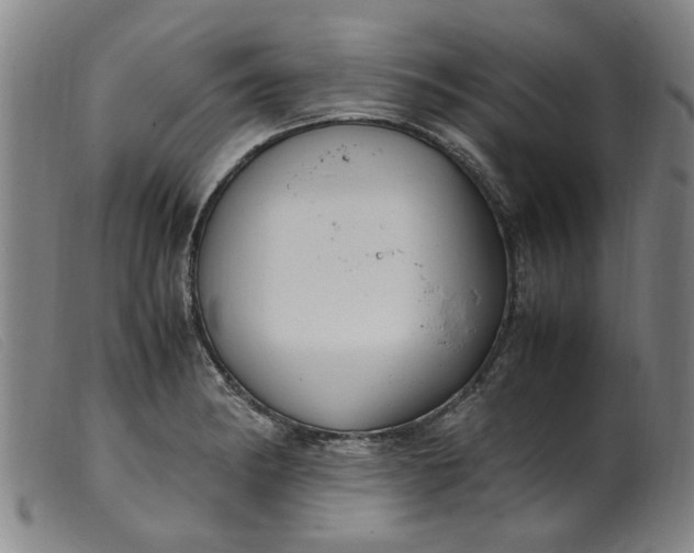 X0000099401182200805221848