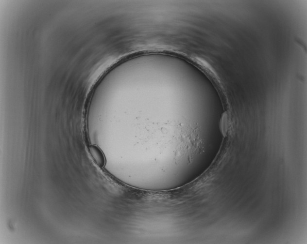 X0000099401183200805221848