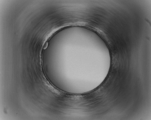 X0000099401184200805221848