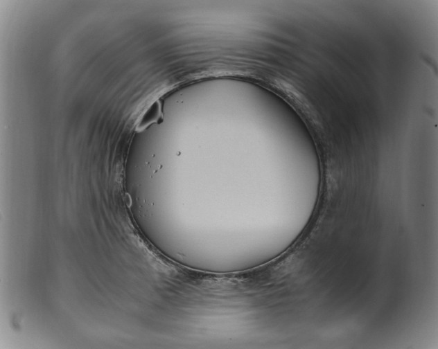 X0000099401185200805221848