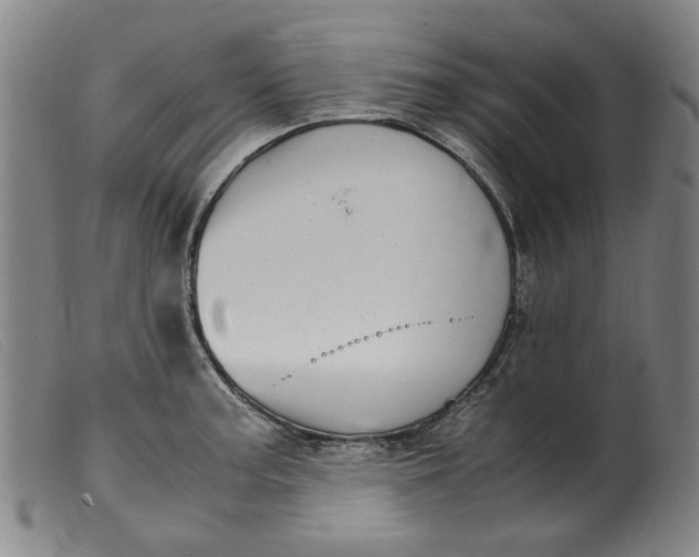 X0000099401187200805221848