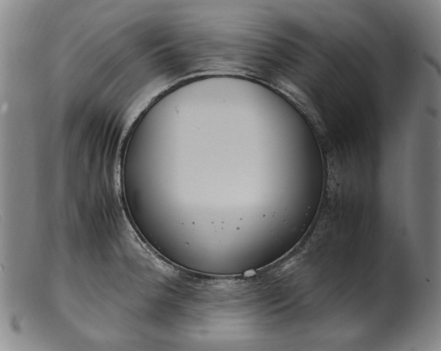 X0000099401188200805221848