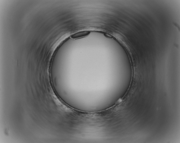 X0000099401189200805221848