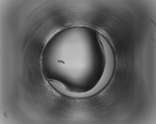 X0000099401190200805221848