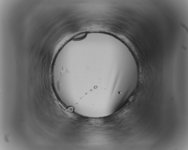 X0000099401191200805221848