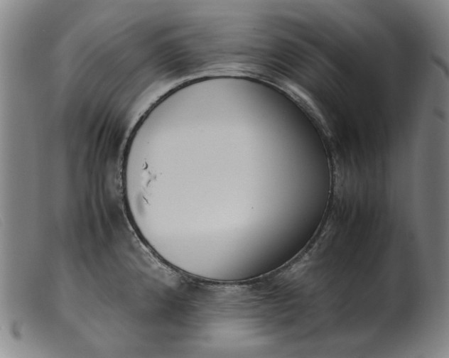 X0000099401192200805221848