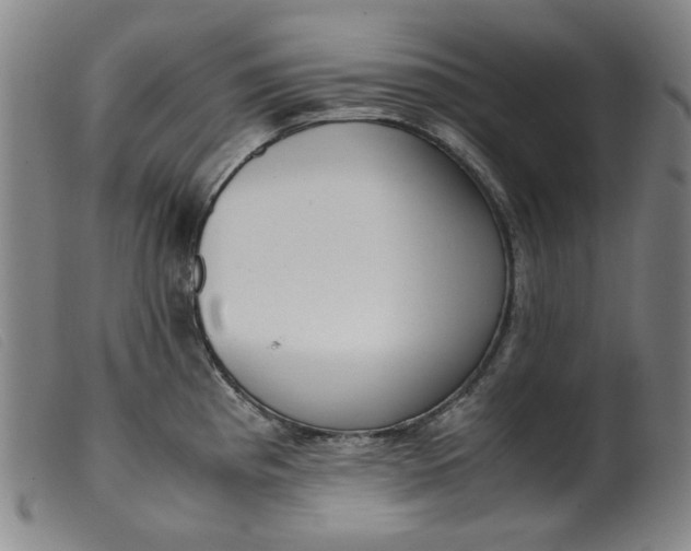 X0000099401193200805221848