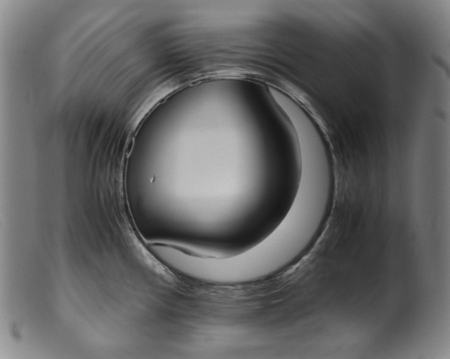 X0000099401194200805221848