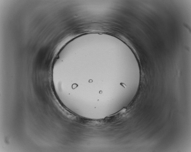 X0000099401195200805221848