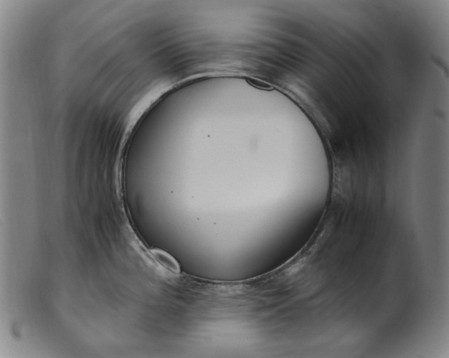 X0000099401196200805221848