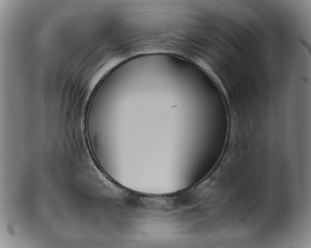 X0000099401197200805221848