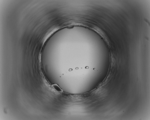 X0000099401198200805221848