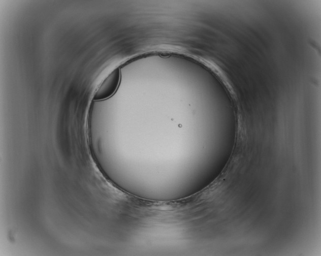 X0000099401199200805221848