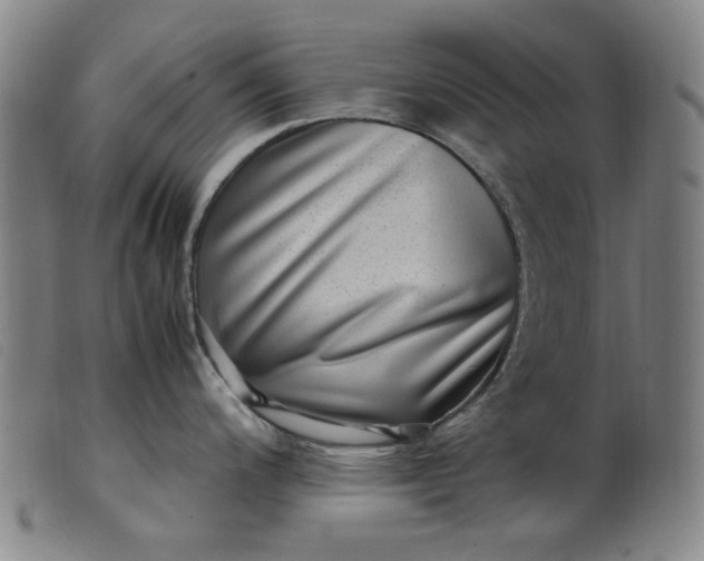 X0000099401200200805221848