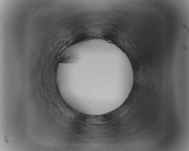 X0000099401201200805221847