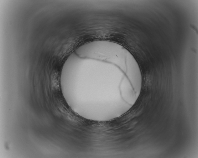 X0000099401202200805221847