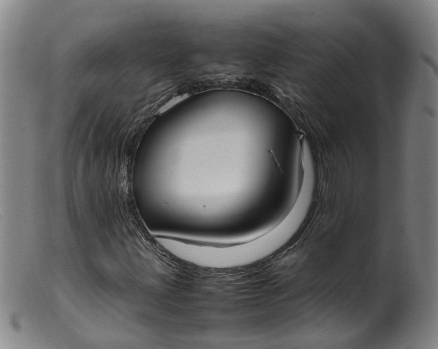 X0000099401203200805221847