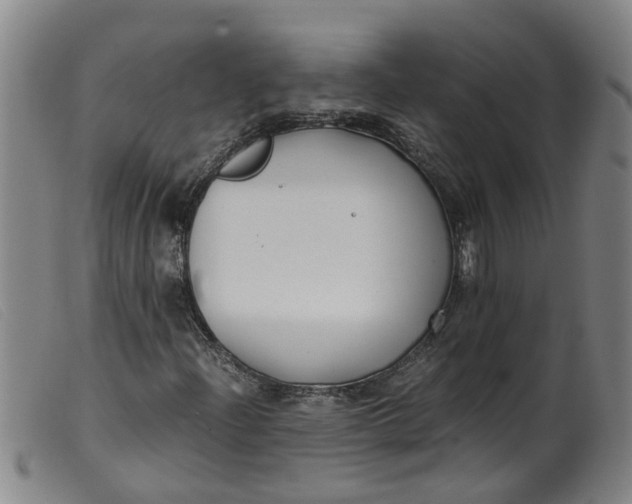 X0000099401204200805221847