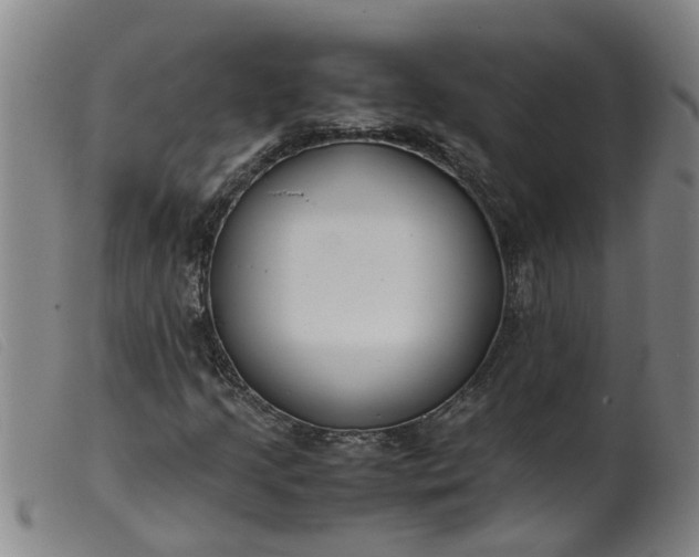 X0000099401205200805221847