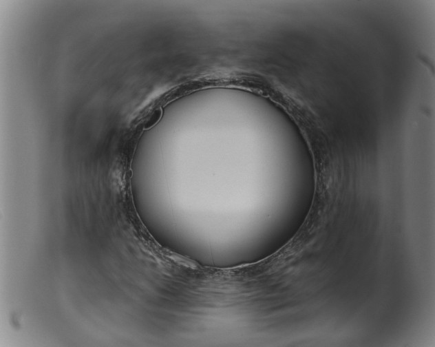 X0000099401206200805221847