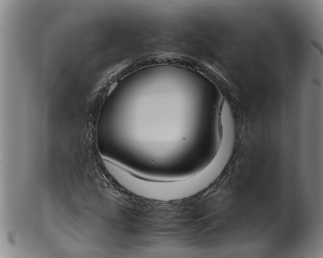 X0000099401207200805221847