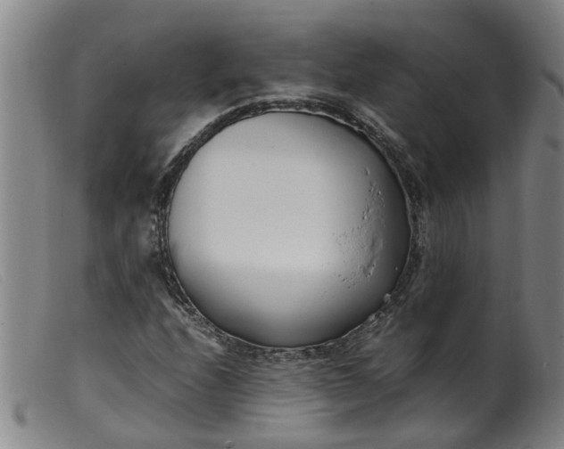 X0000099401208200805221847