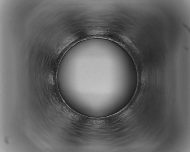 X0000099401209200805221847