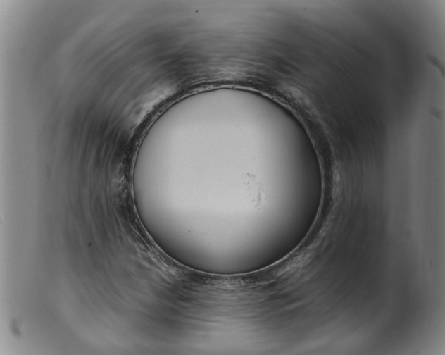 X0000099401210200805221847