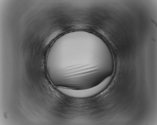 X0000099401211200805221847