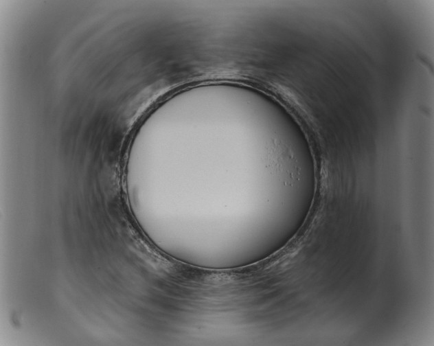 X0000099401212200805221848