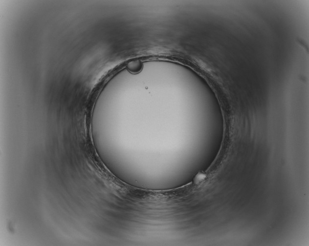 X0000099401214200805221848