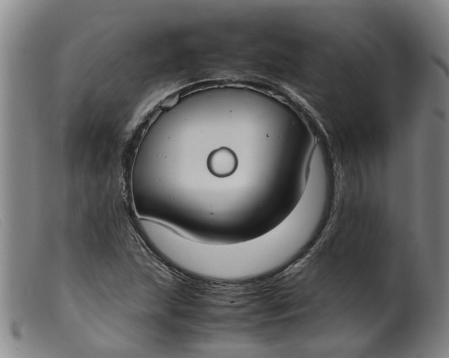 X0000099401215200805221848