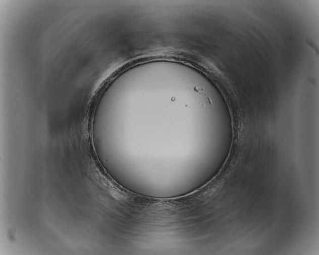 X0000099401216200805221848