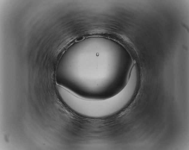 X0000099401217200805221848